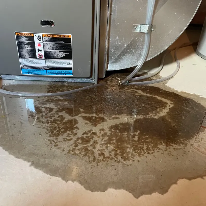 Appliance Leak Cleanup in Gholson, TX